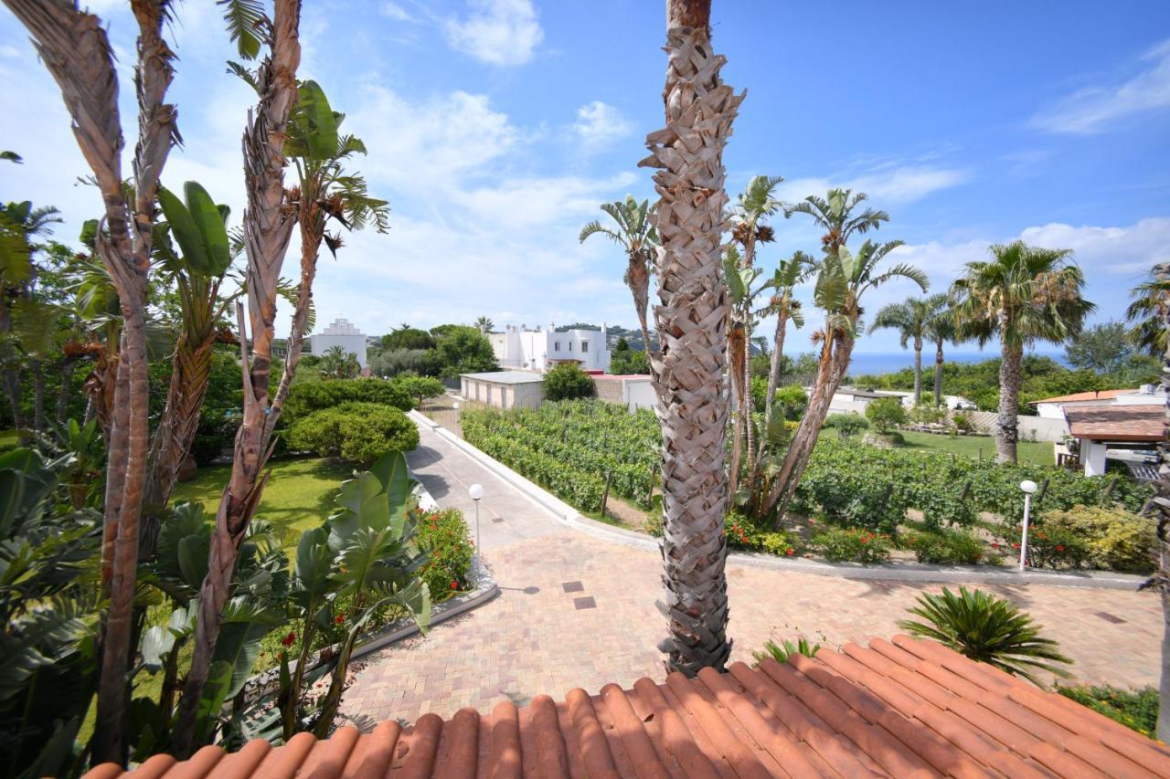 One-Bedroom Apartment with Terrace and Sea View,1447057033:JPEG