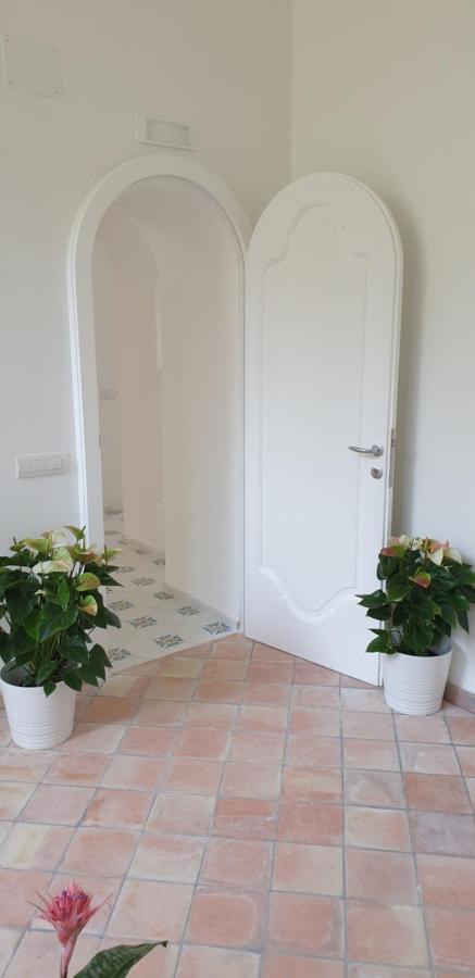 Superior Doppel- oder Zweibettzimmer mit Terrasse