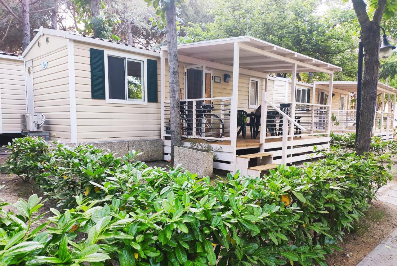 Mobile Home Classic,1129362426:JPEG