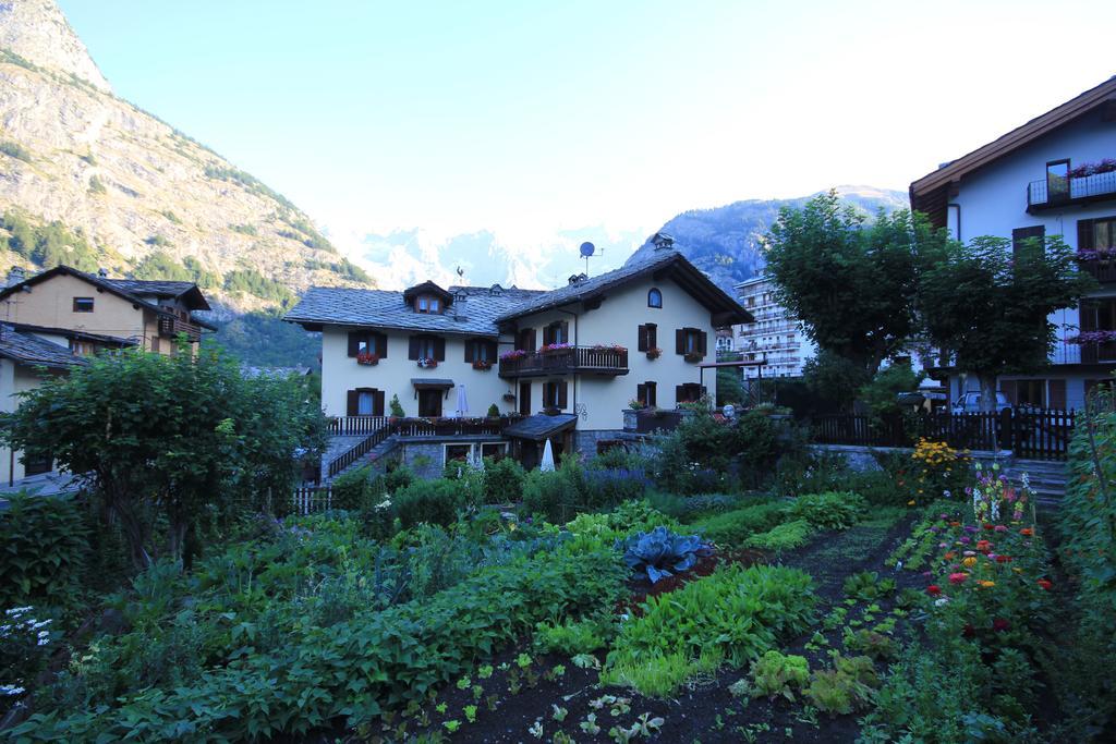 Standard Double or Twin Room,210527975:JPEG