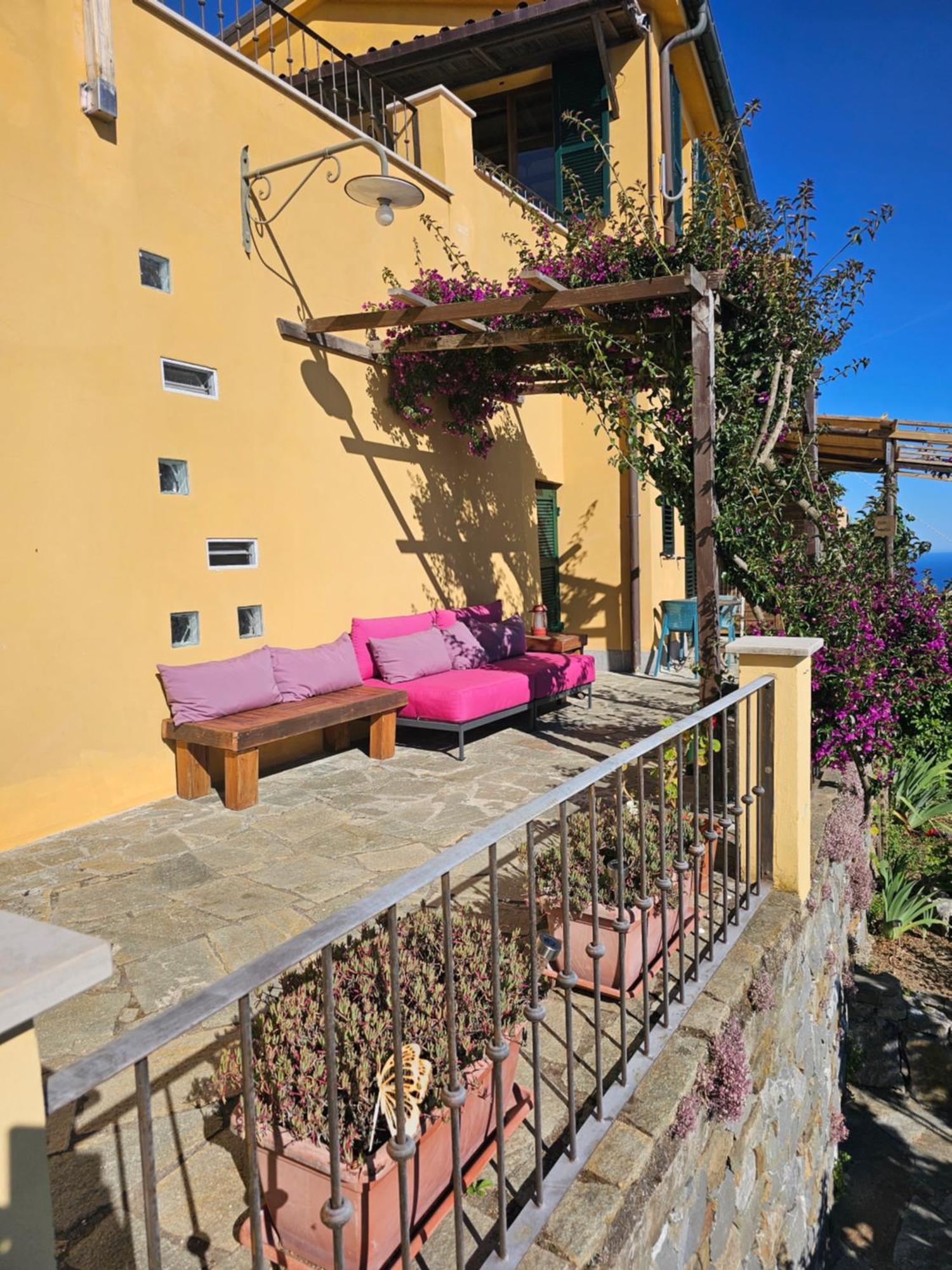 Double Room with Patio