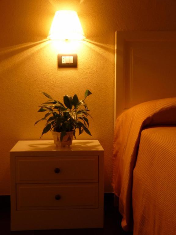 Double Room,20666115:JPEG