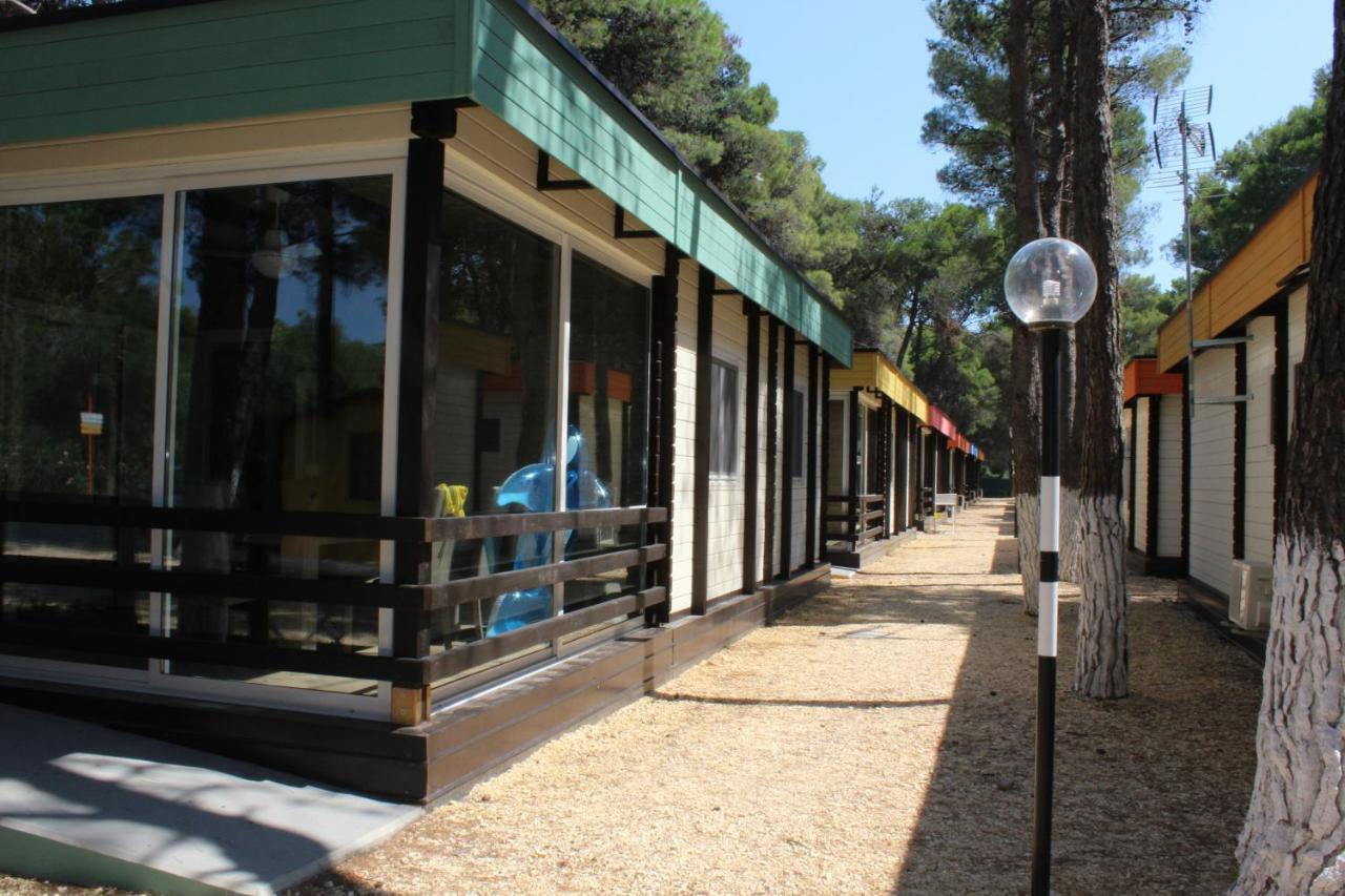 Superior Bungalow,1037836399:JPEG