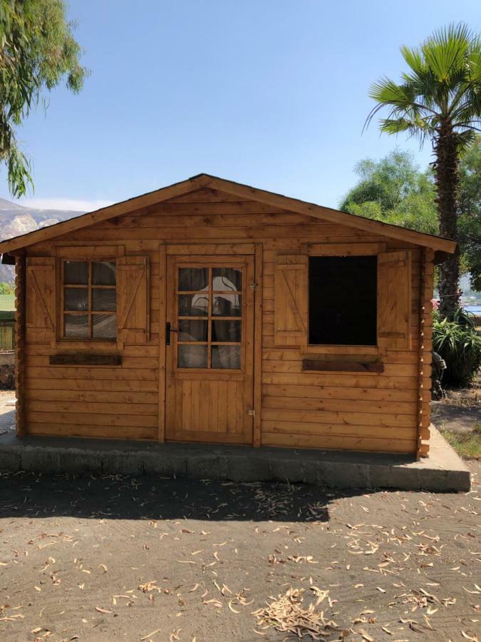 Mobile Home