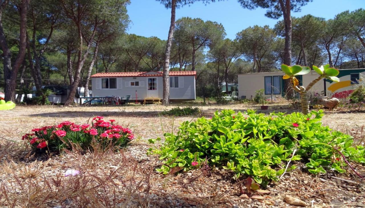 Casa Móvil de 2 dormitorios