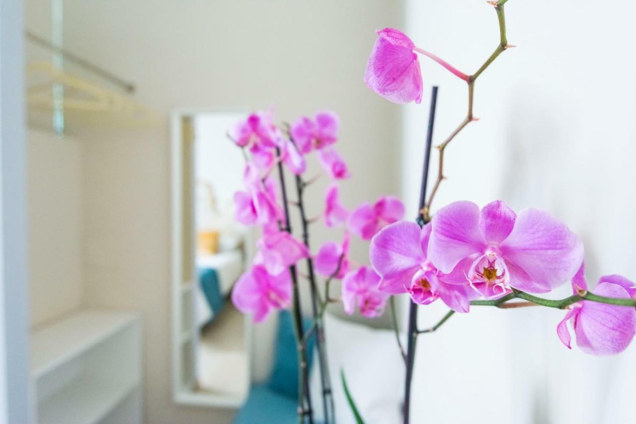 Superior Double or Twin Room,879516221:JPEG