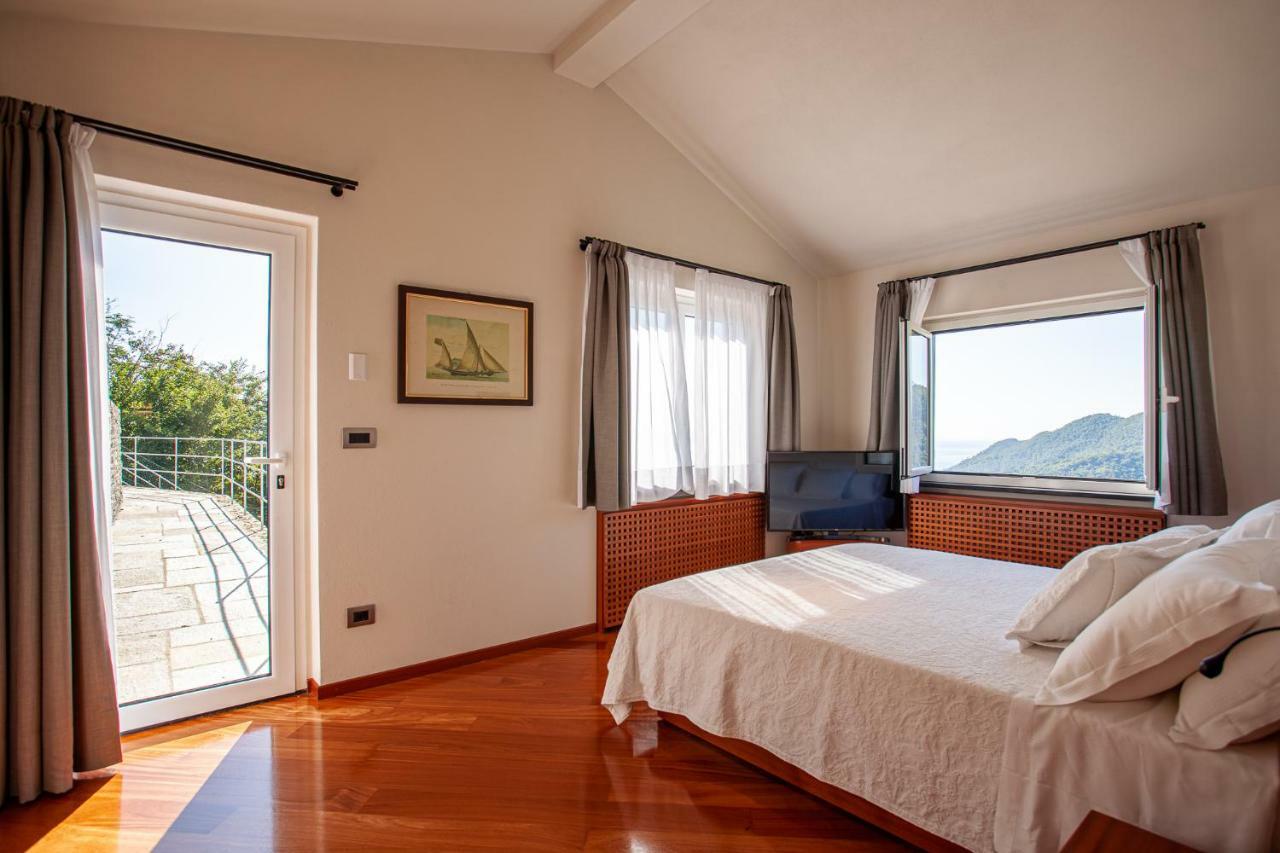 Suite Executive