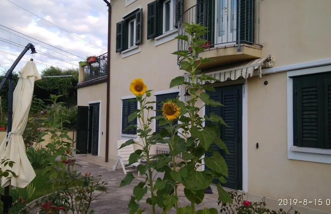 Alle Rose Barcolane-1