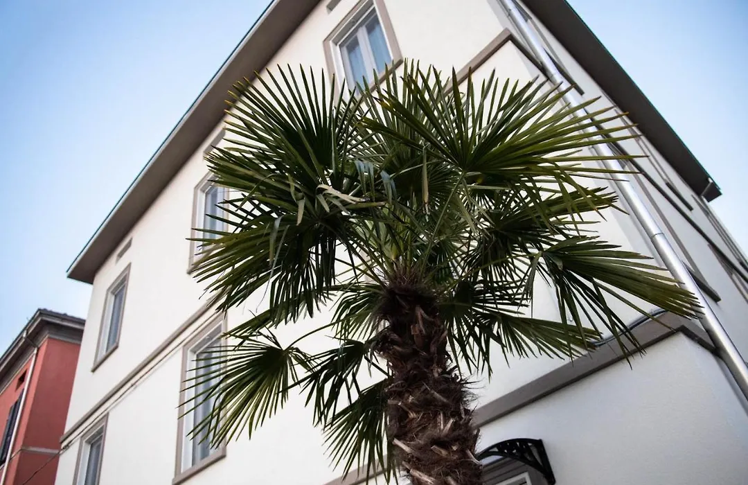 Le Palme-1