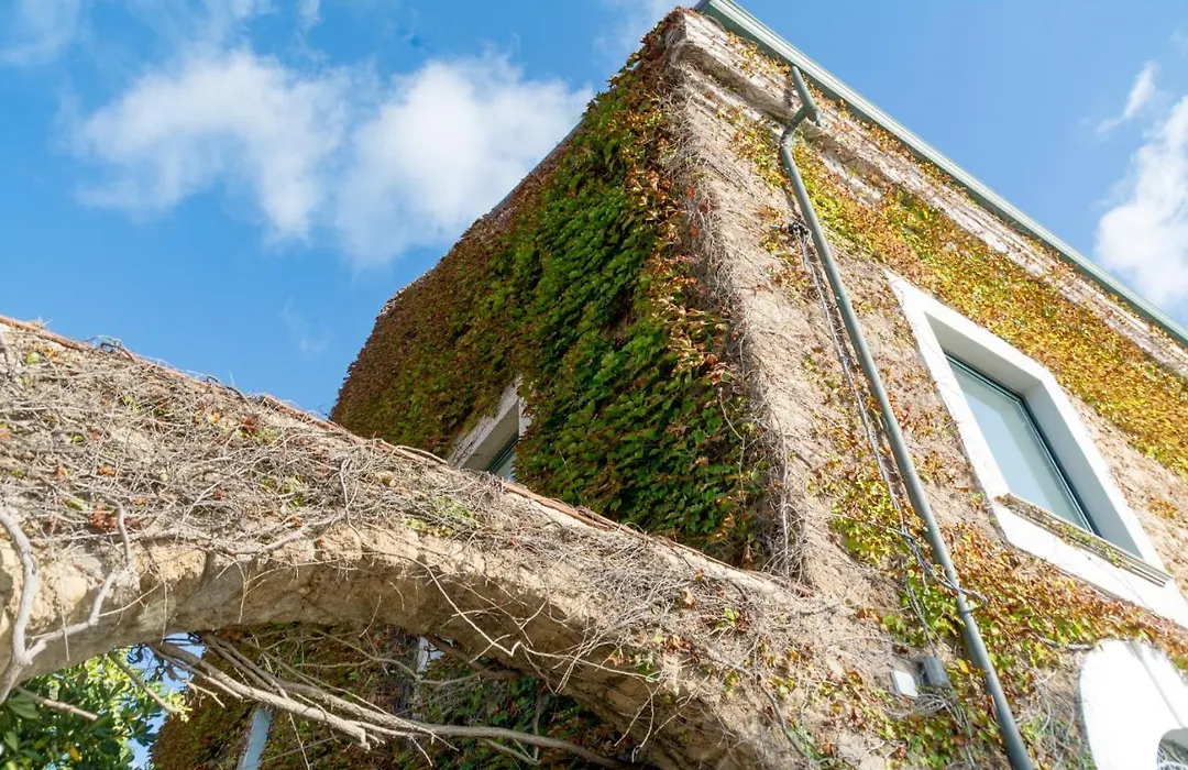 La Belle Vie B&B-1