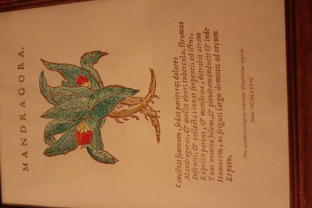Locanda La Mandragola-1