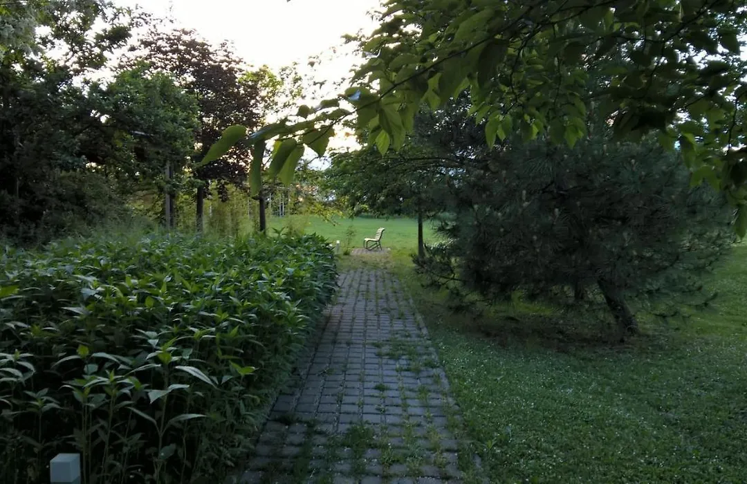 Rose Canine B&B-1