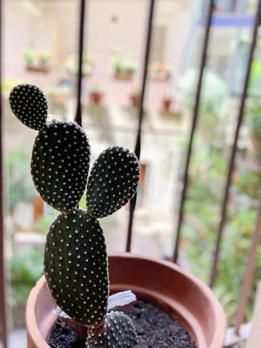La Casa del Poeta-1