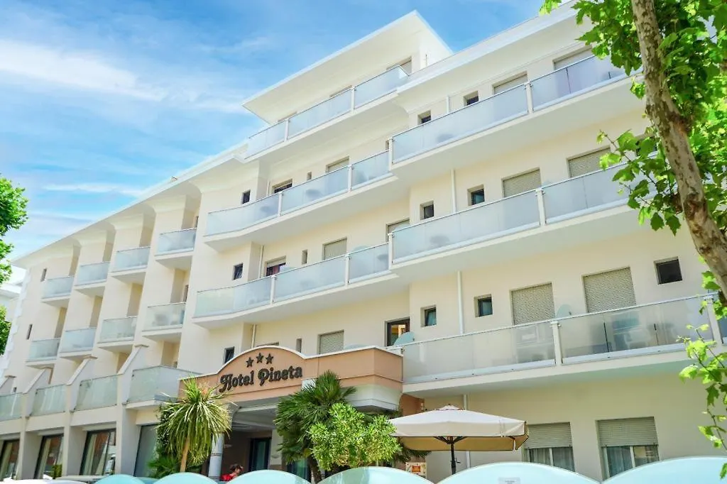 Hotel Pineta-1