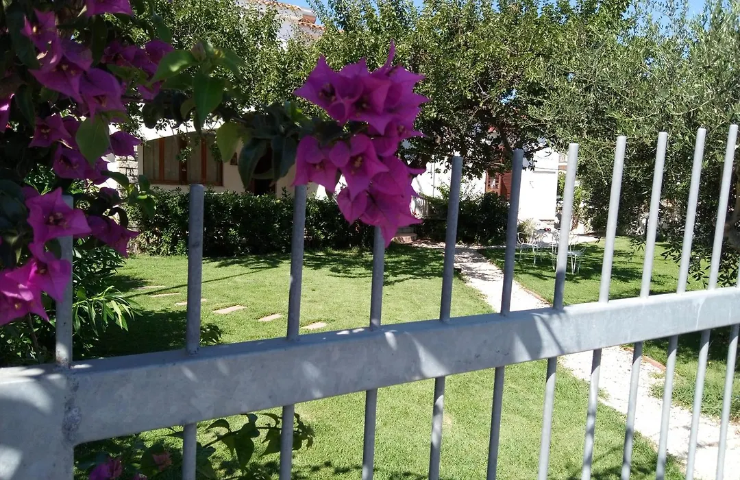 Hotel Sandalyon-1