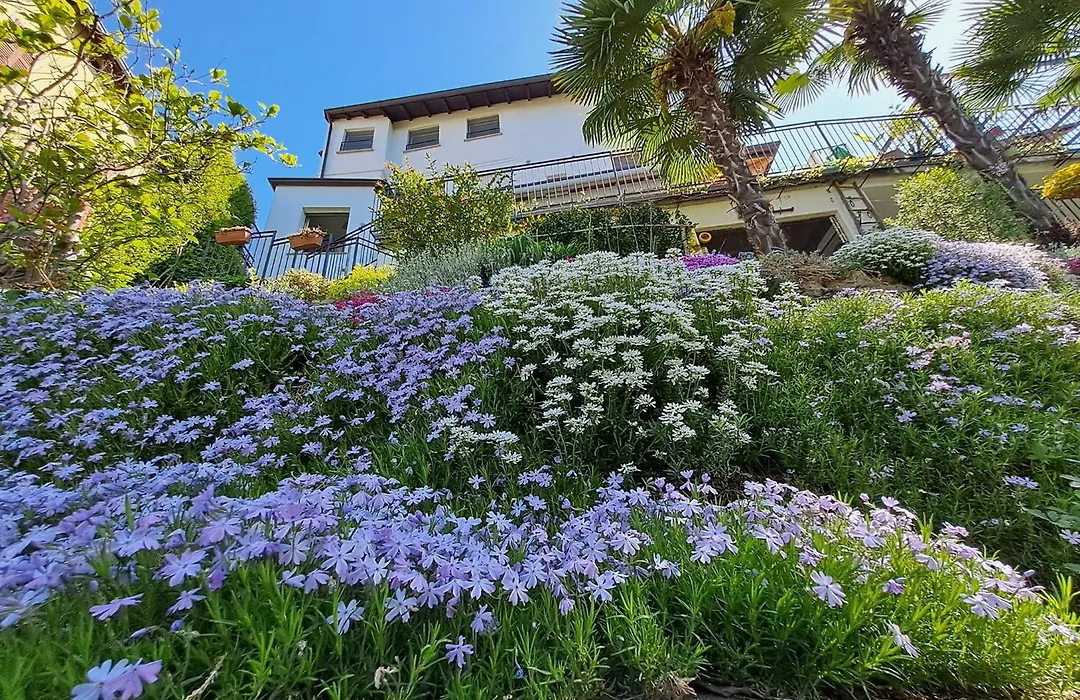 Al Nifontano B&B - Ideal For Family Or Couples - 2 Rooms - Lakeview-1