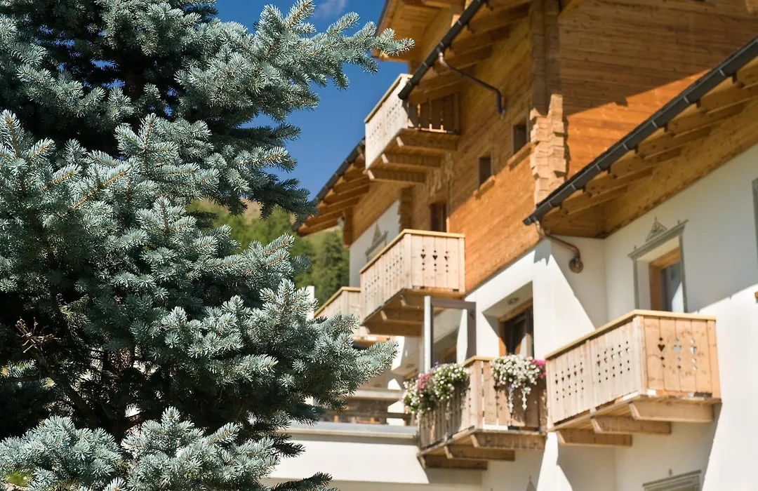 Hotel Alegra-1