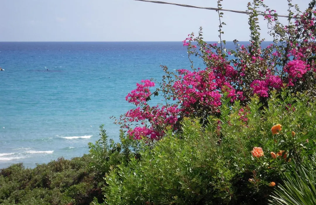 Hotel Simius Playa-1