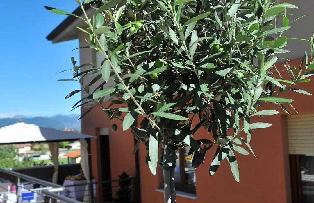 Bed & Breakfast Vieulif-1