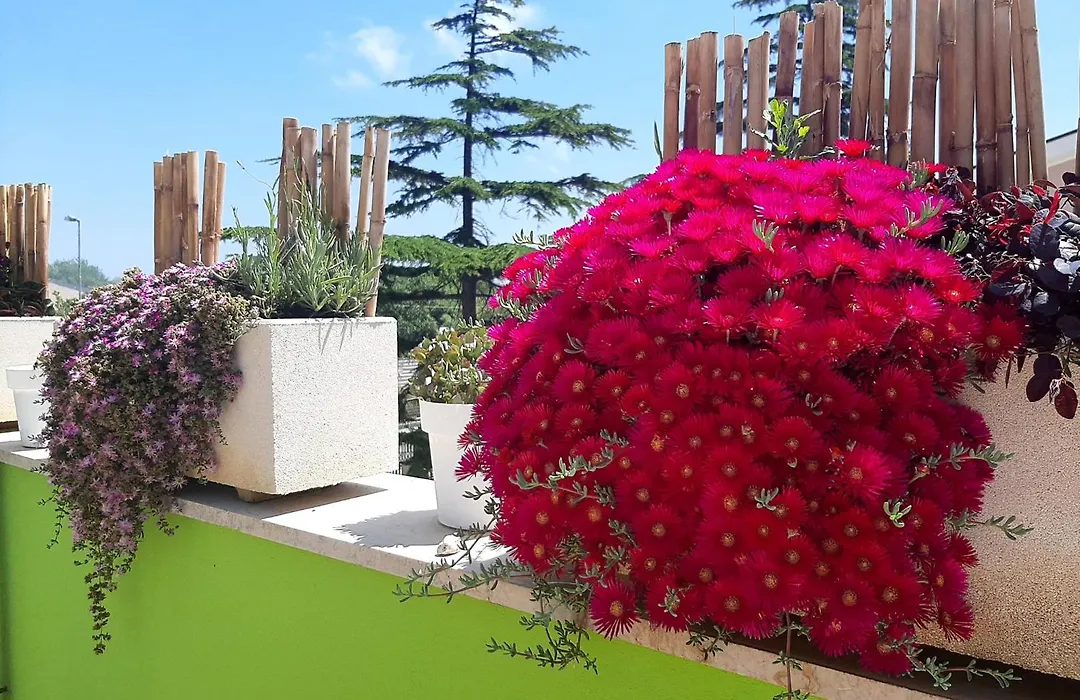 B&B Smartfit House - Room & Relax In Pescara-1