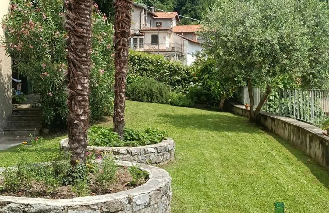 Nobiallum B&B-1