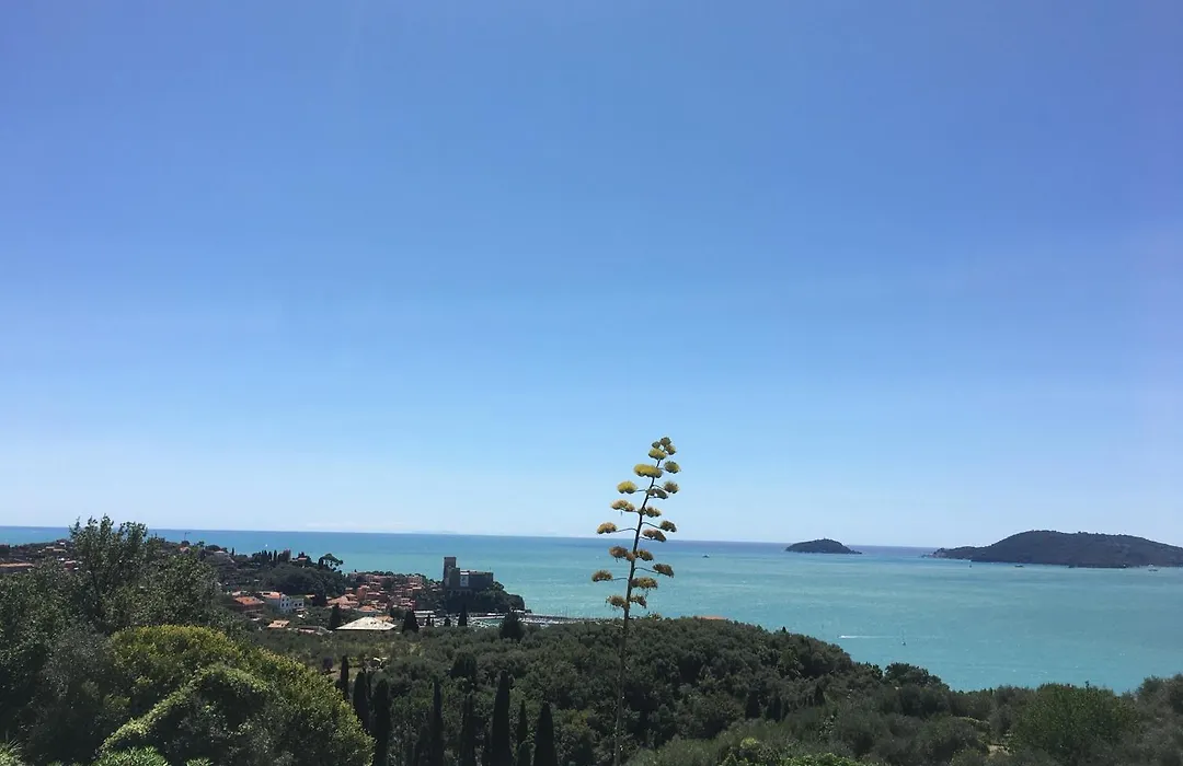 Affittacamere Da Marcello-1