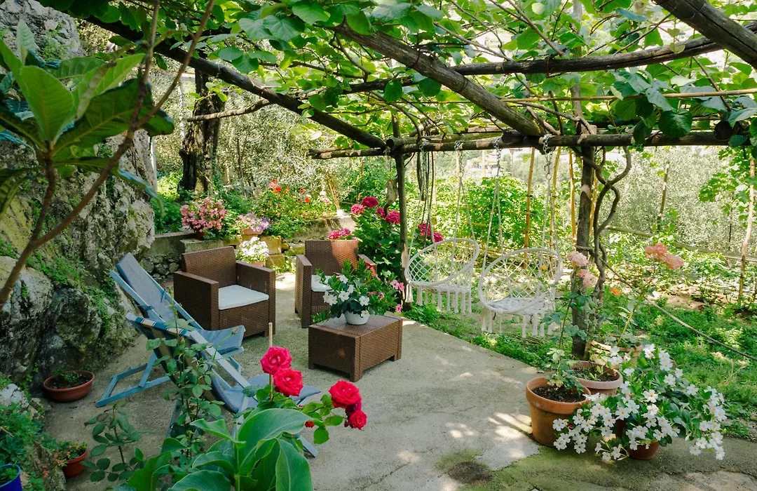 Rosa E Valentino-1