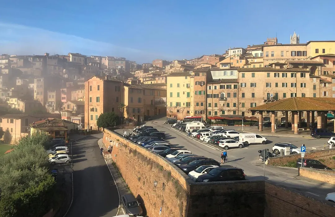 Salicotto 56-1