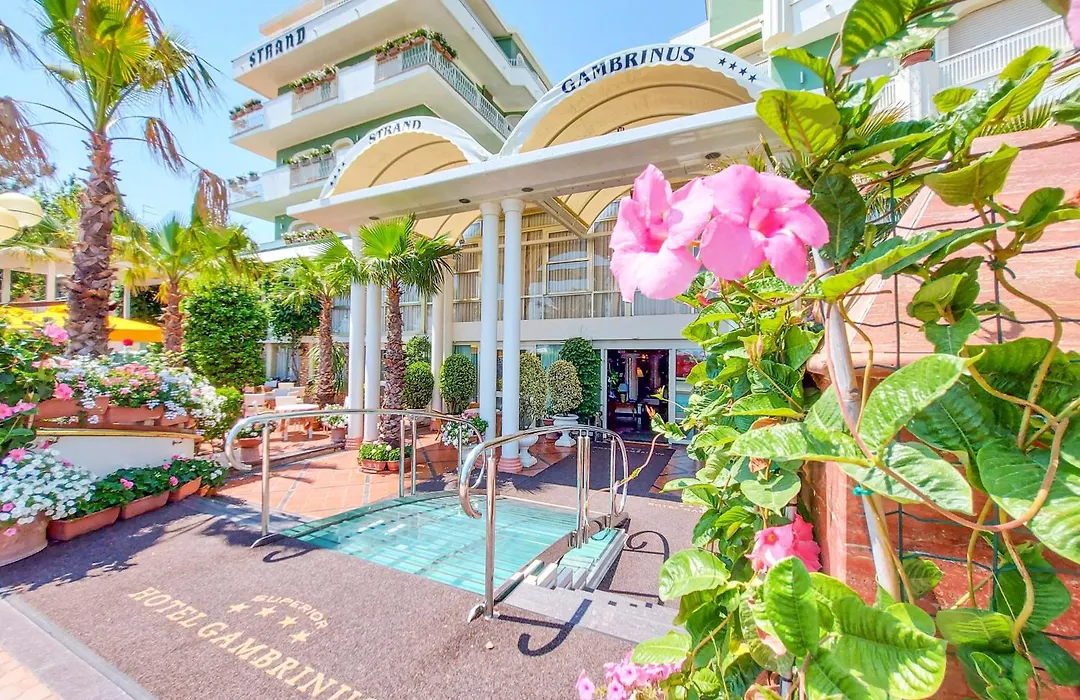 Hotel Gambrinus-1