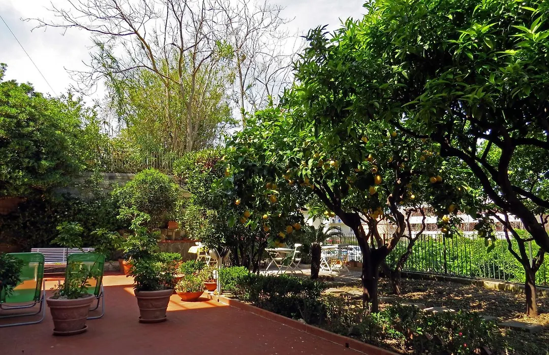 Lumachella B&B-1