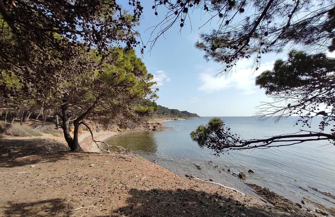 Tenuta Marga-1