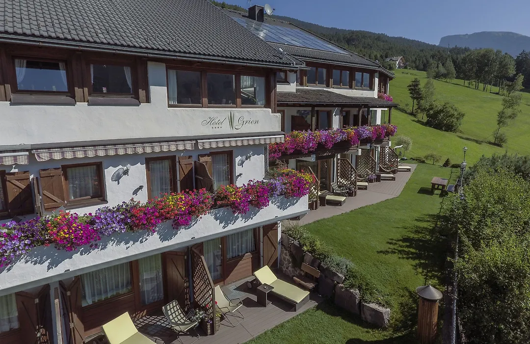 Hotel Grien-1