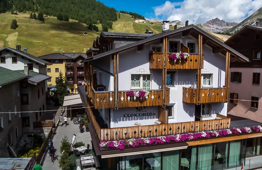 Hotel Concordia-1