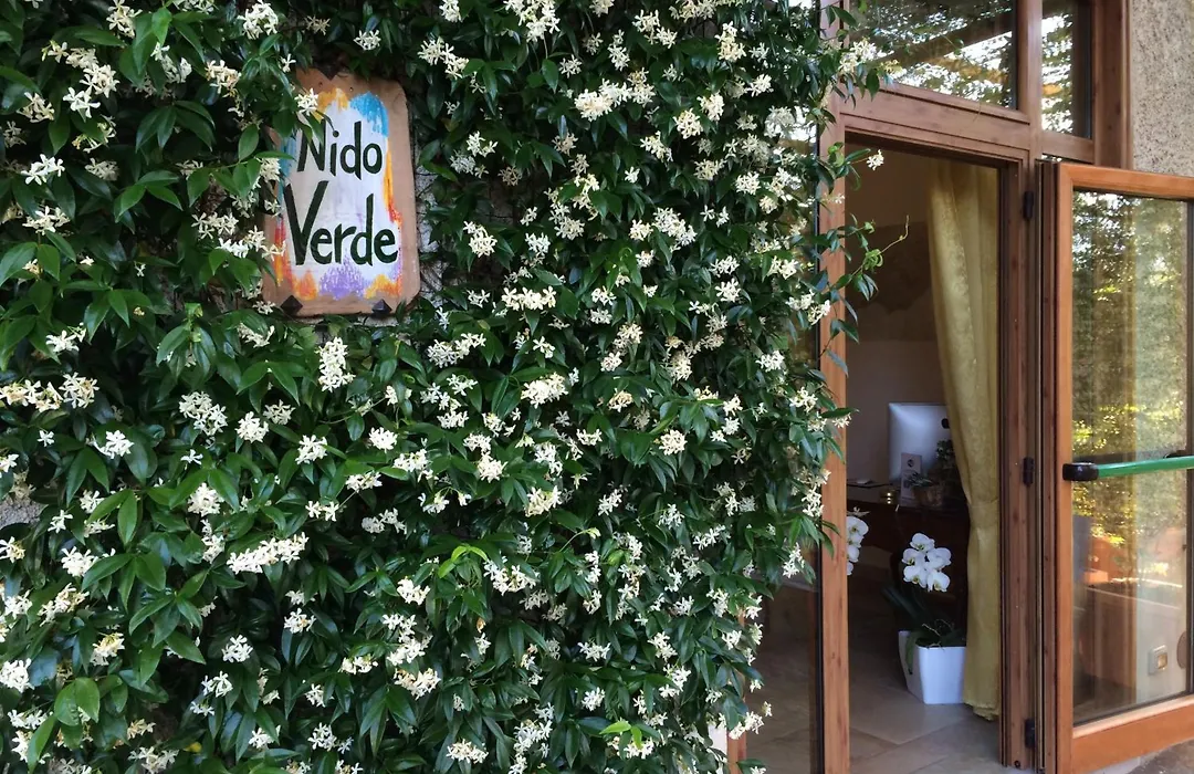 Nido Verde-1