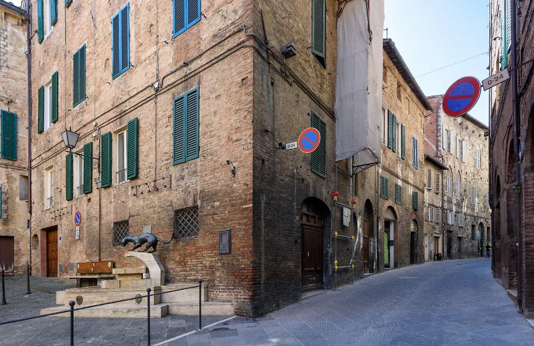 Piazza Paradiso Accommodation-1
