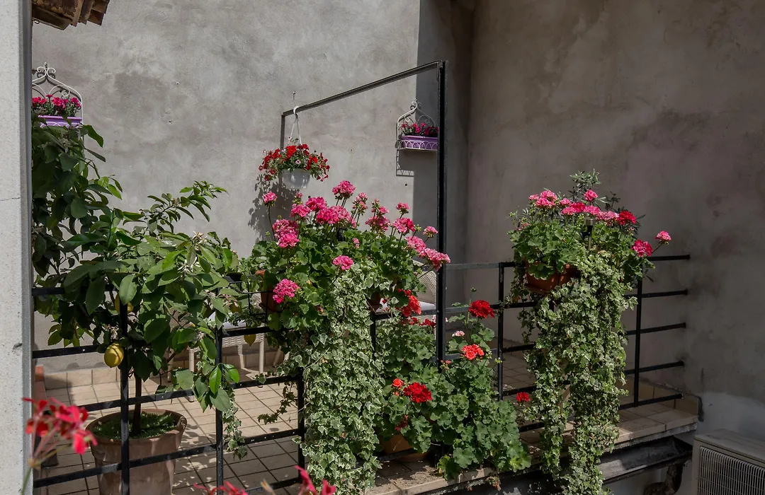 Veronetta House-1