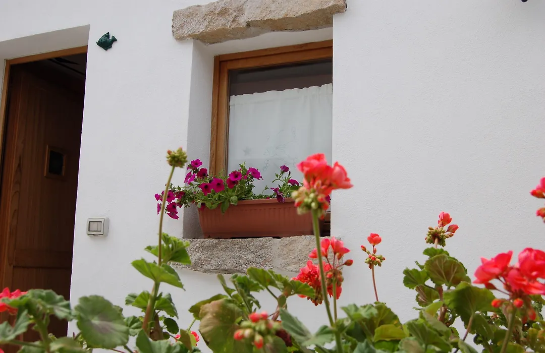 Olbia Domus Inn-1