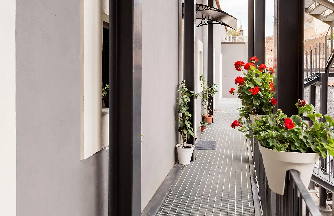 Scuto Home-1