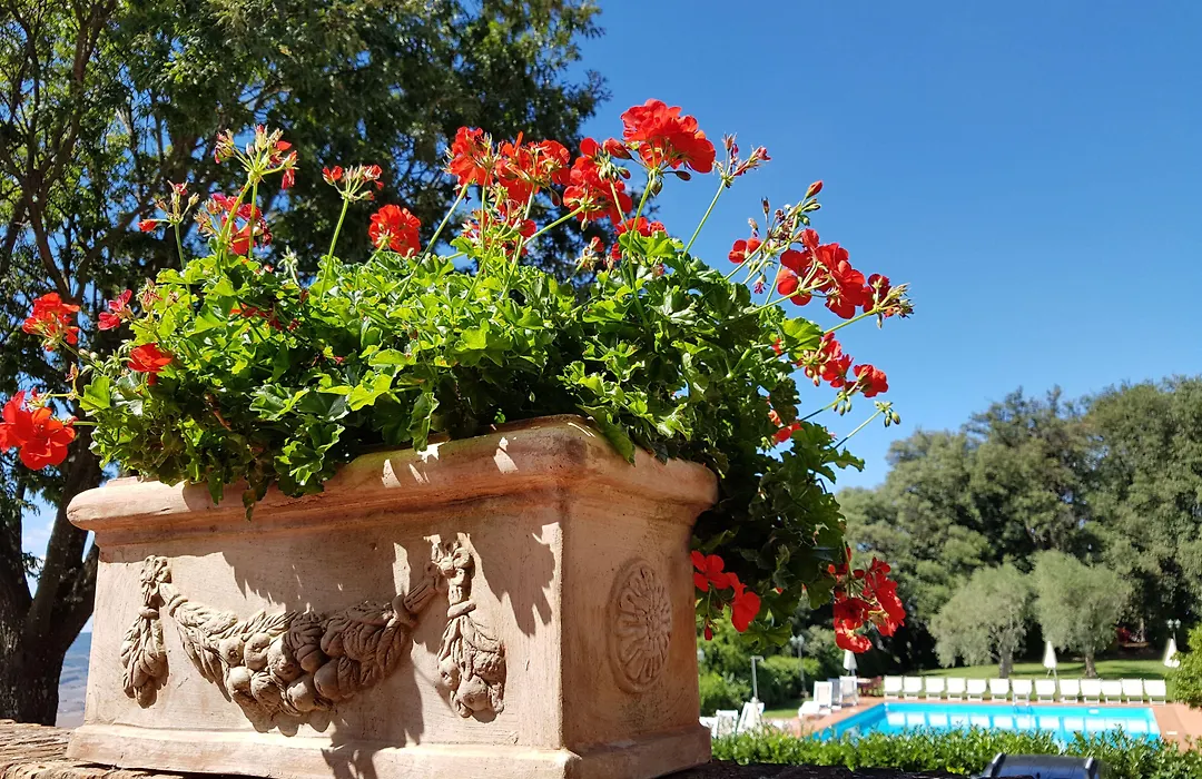 Villa Nencini-1