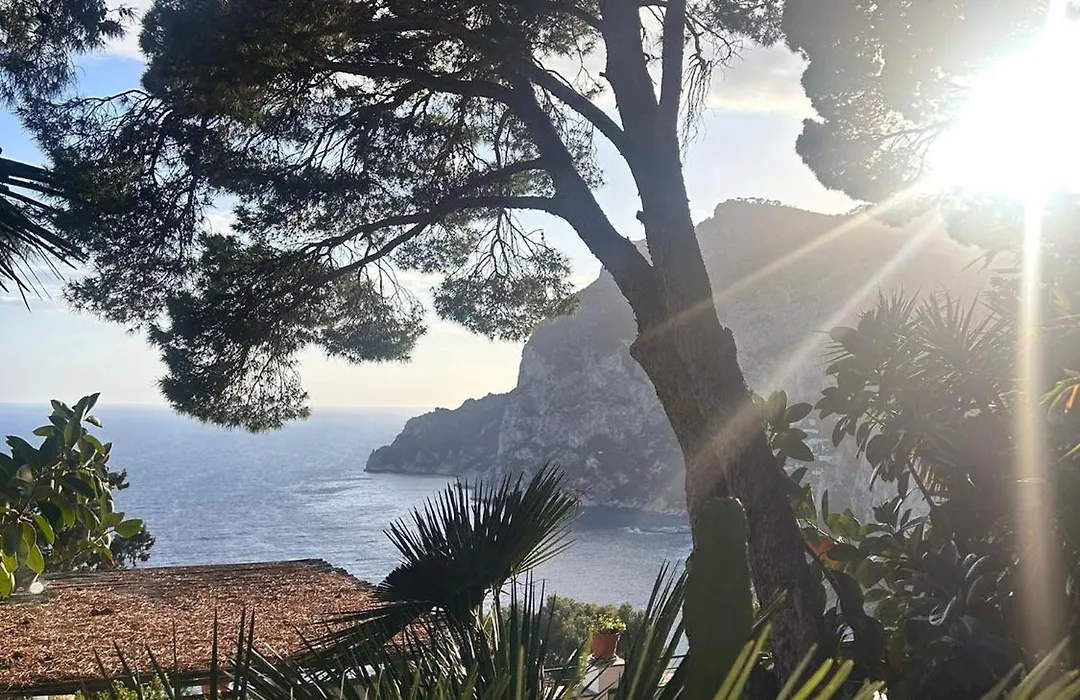 Villacore Capri-1
