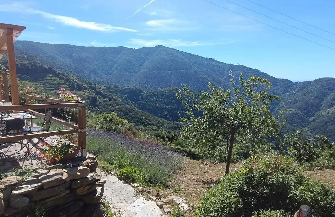 La quiete accesa-1