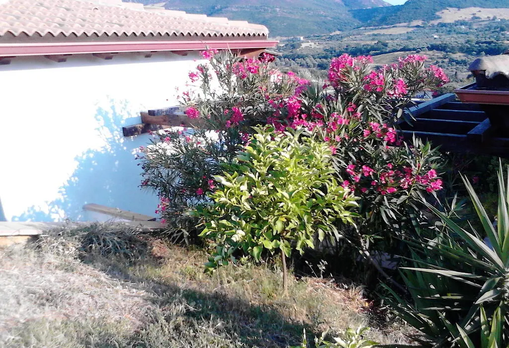 Affittacamere Valverde Di Naitana Rita-1