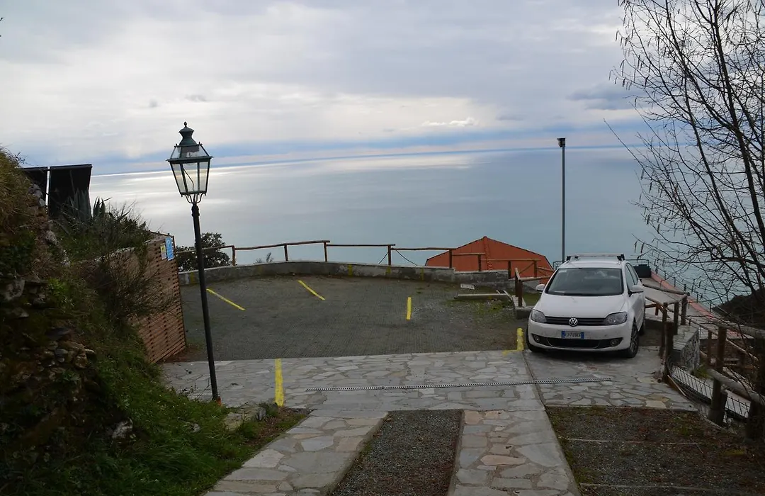 Cade Ventu-1