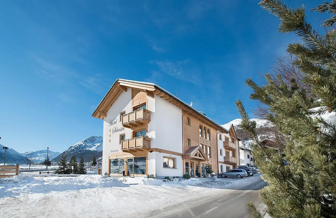 Hotel Silvestri-1