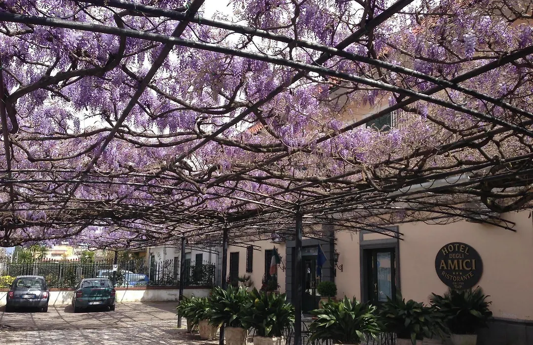 Hotel Degli Amici-1
