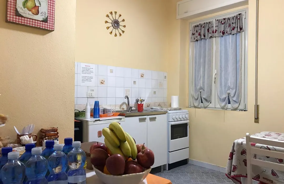 B&B Roge-1