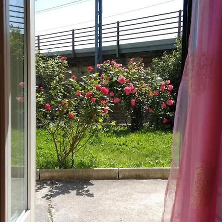 Alle Rose Barcolane-3
