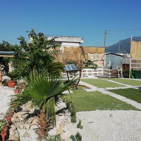 B&B Ciro-2