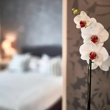 Hotel Clodia - Adults Only-2