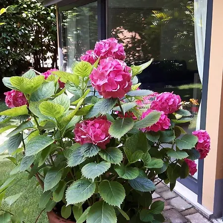 La Magnolia B&B-3